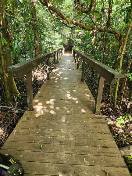 Structural inspection of boardwalks