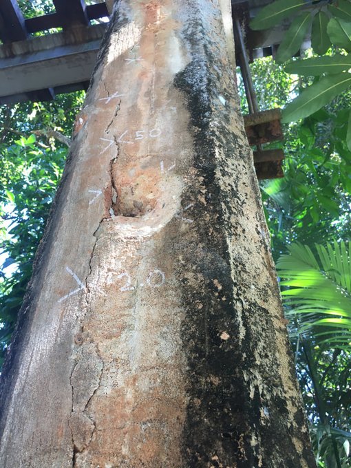 Crack investigation in concrete